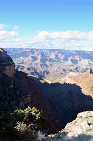 JKW_8450web Looking into Grand Canyon.jpg